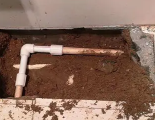 邢台市测漏水哪家好