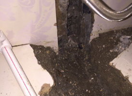 邢台市卫生间测漏水哪家好