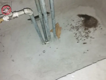 邢台市卫生间测漏水价格明细