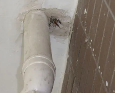 邢台市漏水检测哪家好